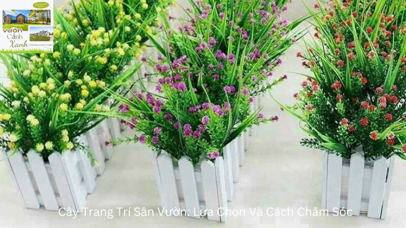 Cây Trang Trí Sân Vườn: Lựa Chọn Và Cách Chăm Sóc