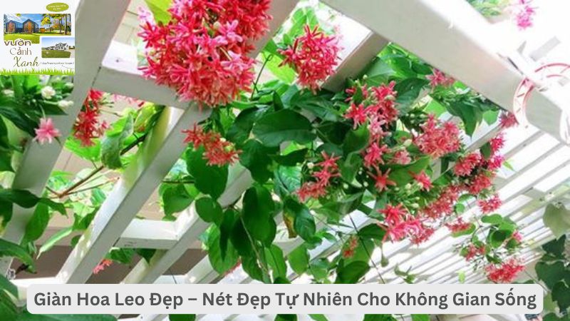 Giàn Hoa Leo Đẹp – Nét Đẹp Tự Nhiên Cho Không Gian Sống